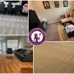 Lupe's Cleaning Organizing & Vacuuming
