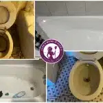 Before & After of Toilet & Bathtub