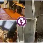 Before & after shower door and couch